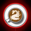 Swan latte art design created with neon colors on a vibrant red background.