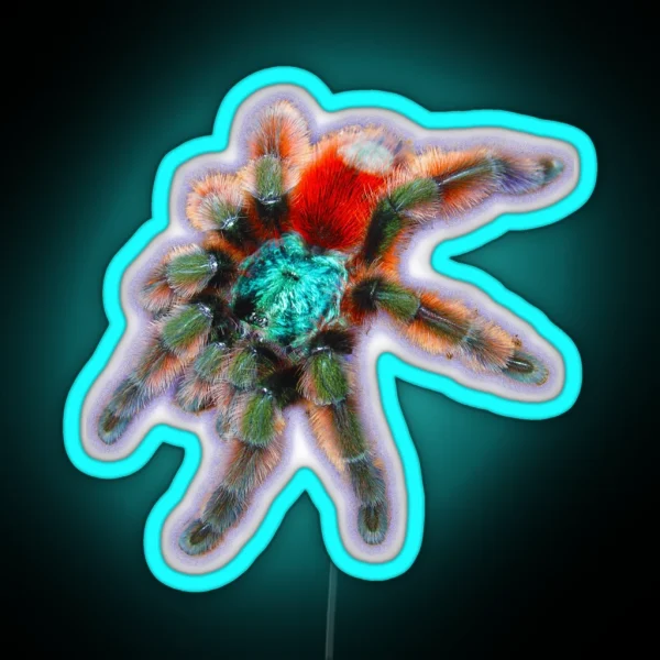 Tarantula Colorful Spider Antilles Pinktoe RGB Neon Sign