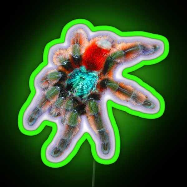 Tarantula Colorful Spider Antilles Pinktoe RGB Neon Sign