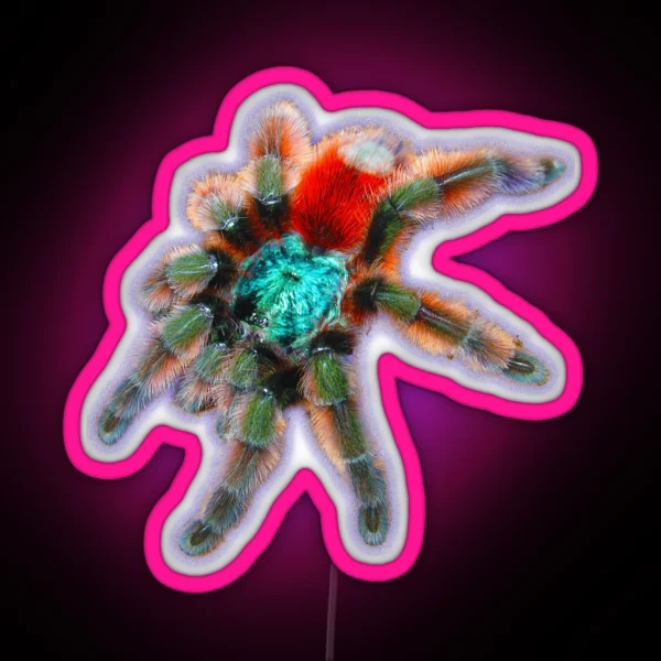 Tarantula Colorful Spider Antilles Pinktoe RGB Neon Sign