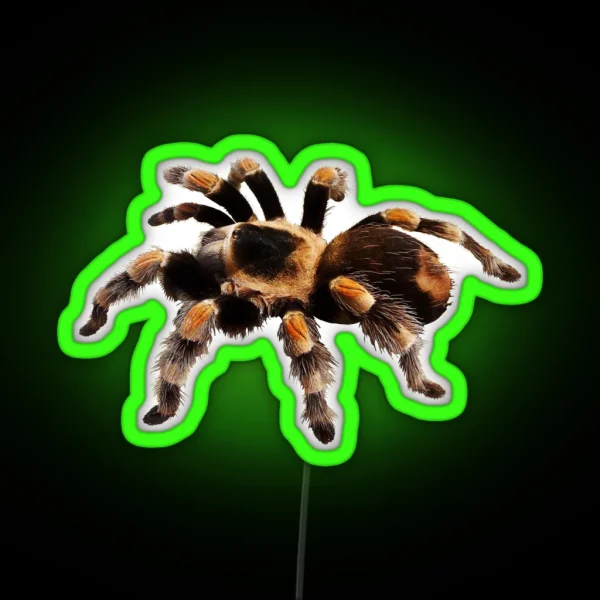 Tarantula Exotic Spider Gift Pet Tarantula Keeper Arachnid Lover I Like Big Bugs And I Cannot Lie Funny Tarantula Humor Giant Spider RGB Neon Sign