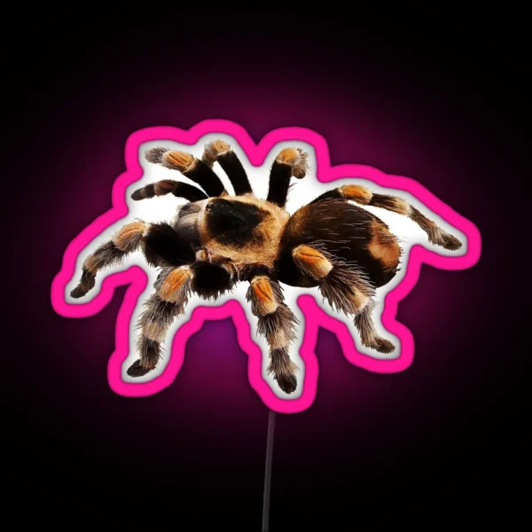 Tarantula Exotic Spider Gift Pet Tarantula Keeper Arachnid Lover I Like Big Bugs And I Cannot Lie Funny Tarantula Humor Giant Spider RGB Neon Sign