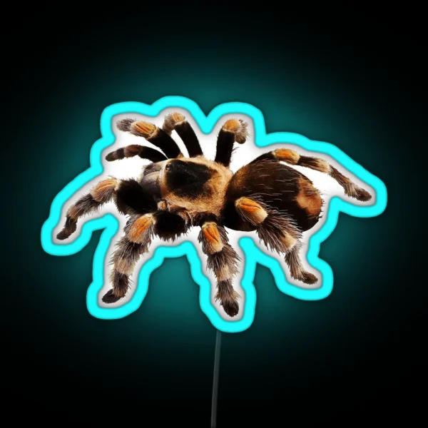 Tarantula Exotic Spider Gift Pet Tarantula Keeper RGB Neon Sign