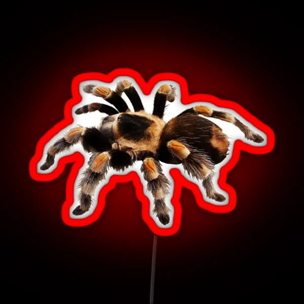 Tarantula Exotic Spider Gift Pet Tarantula Keeper RGB Neon Sign