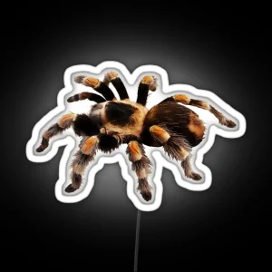 Tarantula Exotic Spider Gift Pet Tarantula Keeper Arachnid Lover RGB Neon Sign