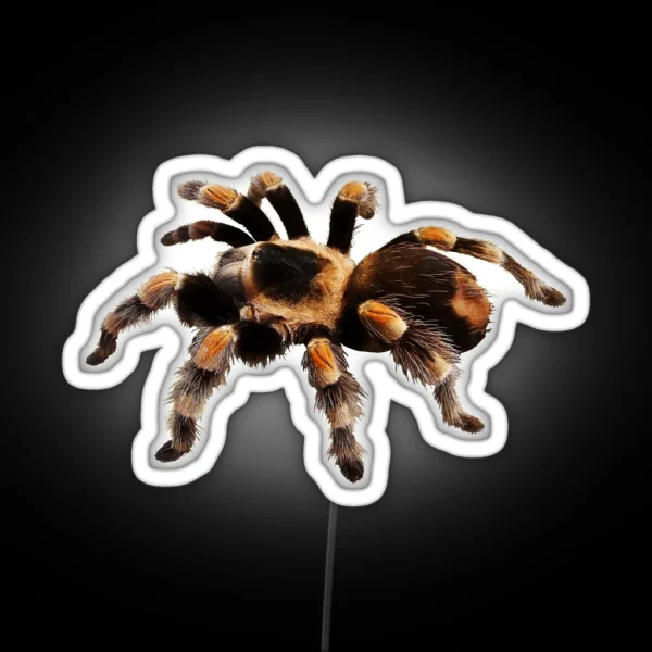 Tarantula Exotic Spider Gift Pet Tarantula Keeper RGB Neon Sign