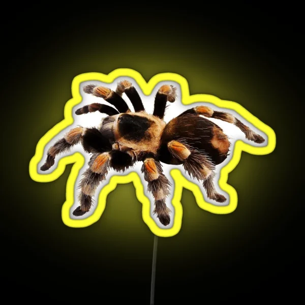 Tarantula Exotic Spider Gift Pet Tarantula Keeper RGB Neon Sign
