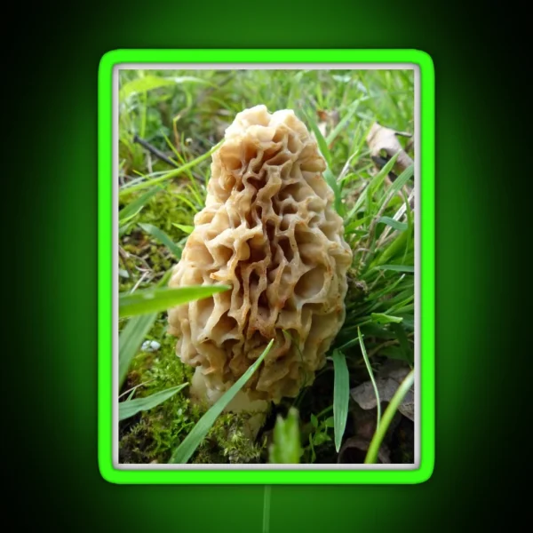 Tasty Morel RGB Neon Sign