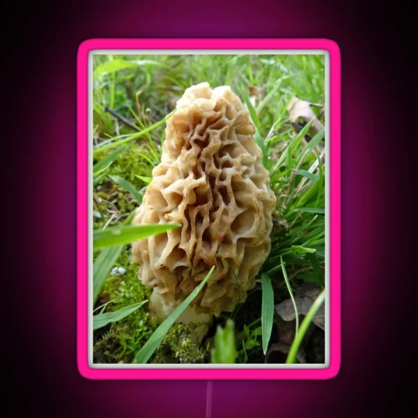 Tasty Morel RGB Neon Sign