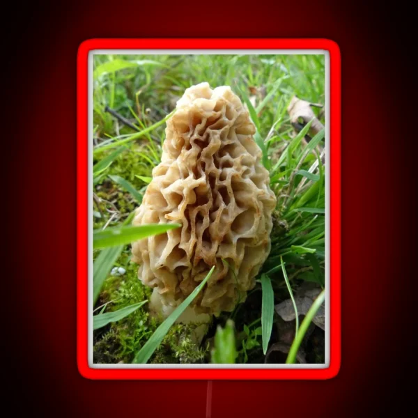 Tasty Morel RGB Neon Sign