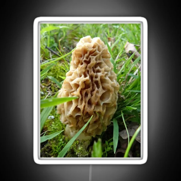 Tasty Morel RGB Neon Sign