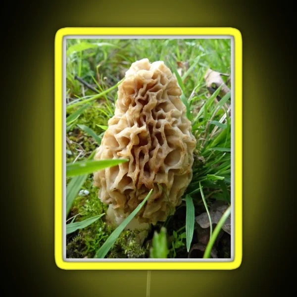 Tasty Morel RGB Neon Sign