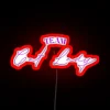 A team of women with cat-themed neon signs in a bold, colorful RGB style.