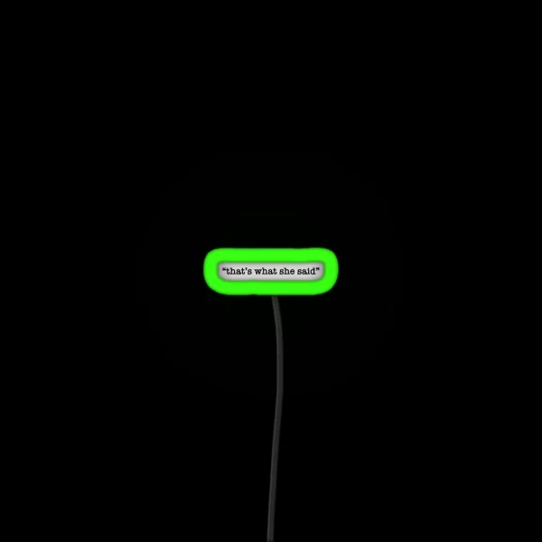 That S What She Said RGB Neon Sign