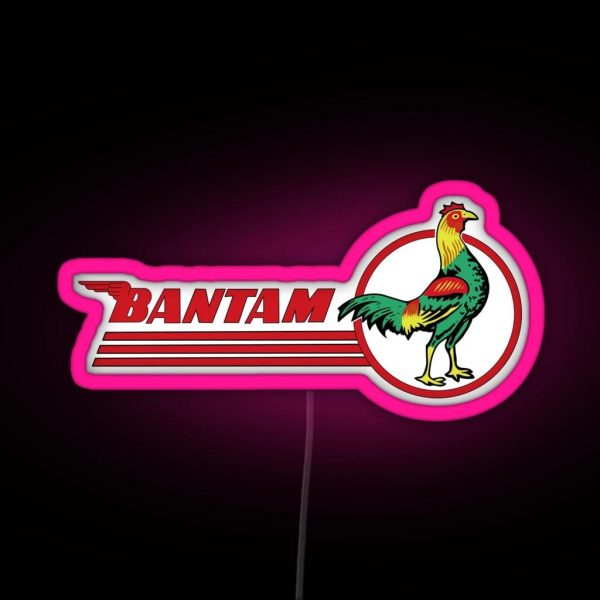 The Bantam RGB Neon Sign