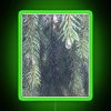 Fir trees illuminated by RGB neon sign with green glow
