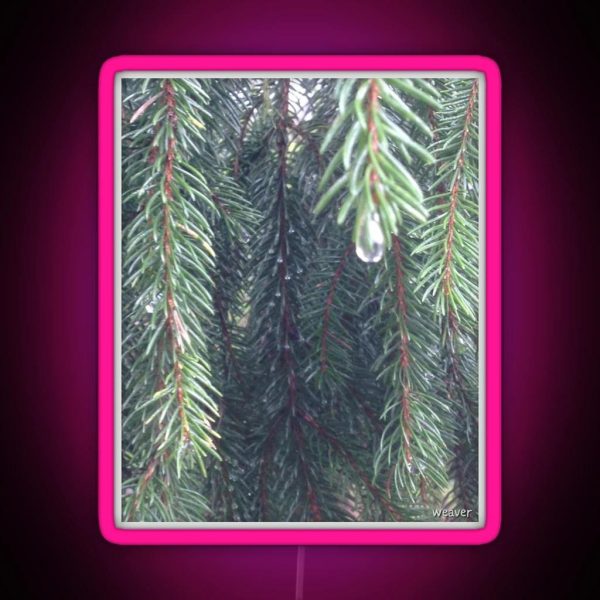 The Fir Trees And I Cried Today RGB Neon Sign