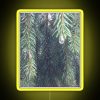 Vibrant neon sign featuring a stylized illustration of fir trees, evoking a sense of nostalgia and melancholy in a modern...