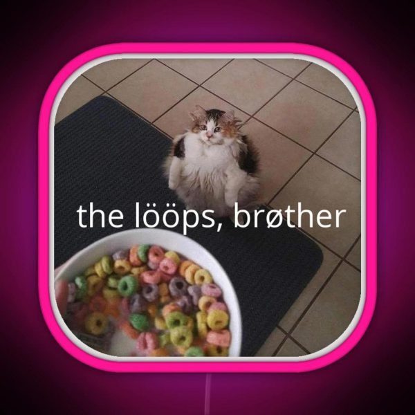 The Loops Brother Cat Meme RGB Neon Sign