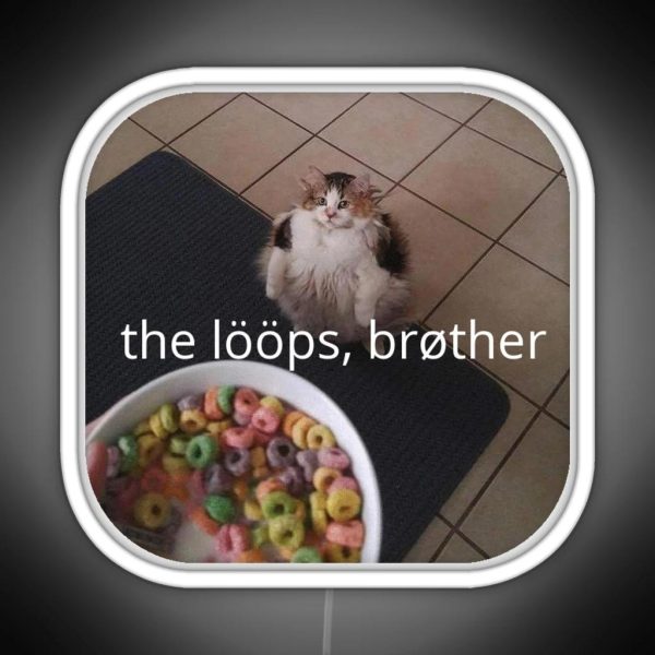 The Loops Brother Cat Meme RGB Neon Sign