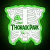 Neon sign with vibrant green lettering reading 'Thoracic Park' on a dark background.