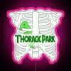 Neon sign reading "Thoracic Park" with pink and purple hues in a futuristic cityscape at night.