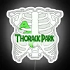 Neon sign with colorful, glowing letters reading 'Thoracic Park' in an urban setting at night.