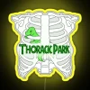 Neon sign with glowing yellow letters spelling out "Thoracic Park" in bold, futuristic font.