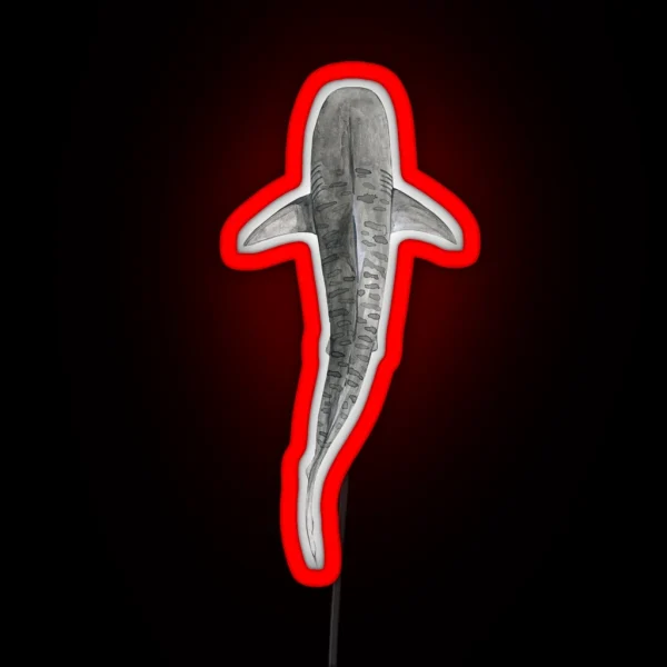 TIGER SHARK Galeocerdo Cuvier Above Navy Blue RGB Neon Sign