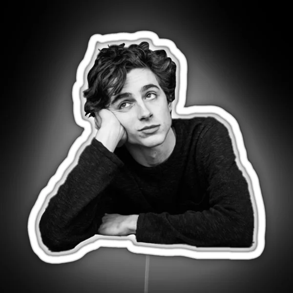 Timothee Chalamet RGB Neon Sign