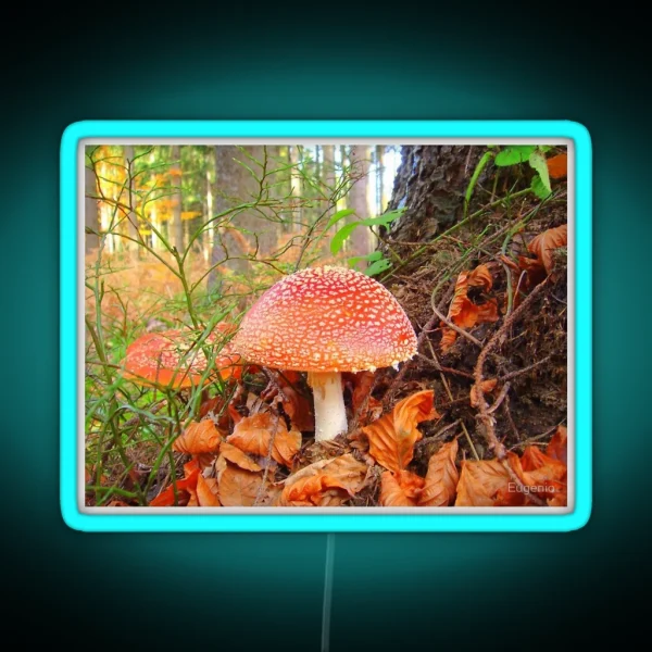 Toadstools RGB Neon Sign