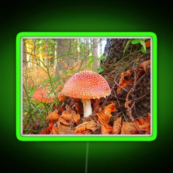 Toadstools RGB Neon Sign