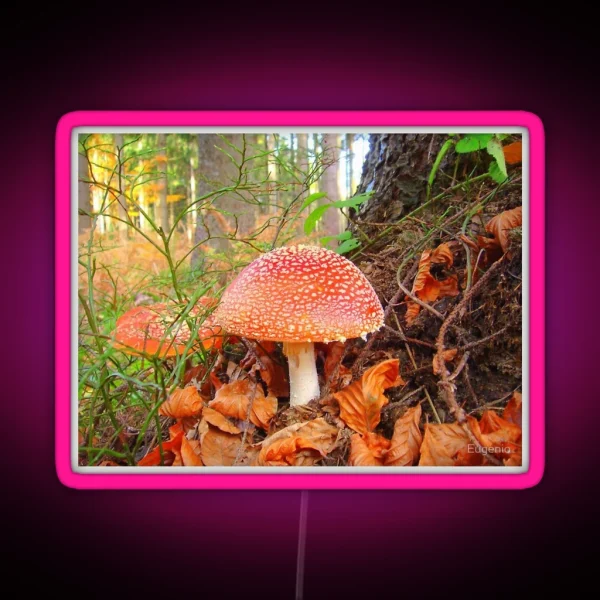 Toadstools RGB Neon Sign