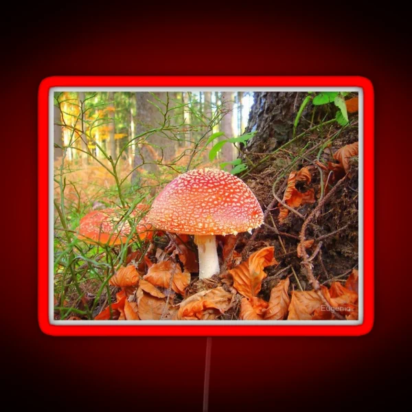 Toadstools RGB Neon Sign