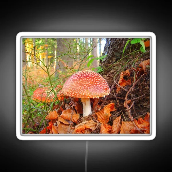 Toadstools RGB Neon Sign