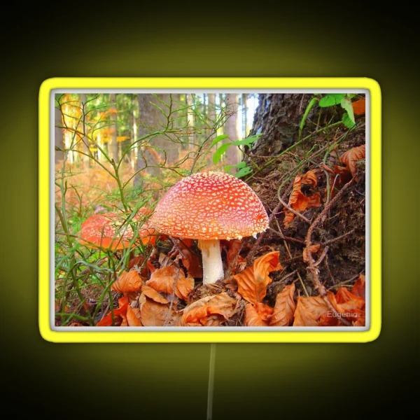 Toadstools RGB Neon Sign