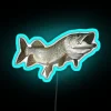 A vibrant neon sign featuring a colorful muskellunge with prominent teeth, glowing in shades of blue.