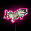 A colorful neon sign featuring an image of a muskellunge with prominent teeth.