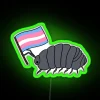 Pill bug on top of a neon rainbow colored transgender flag.
