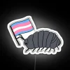 Pill bug under a rainbow-colored neon sign with a trans flag