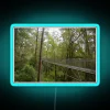 Treetop walkway in a vibrant rainforest with neon signs shining through the foliage
