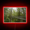 Tropical rainforest canopy walkway with vibrant neon sign illuminating beneath dense foliage.