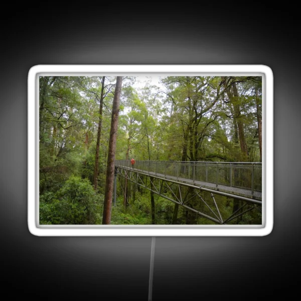 Treetops Walkway In Rainforest RGB Neon Sign