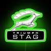 Triumph Stag logo with RGB neon sign in green on a background