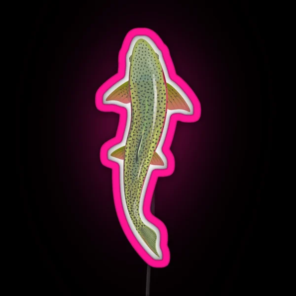 Trout From Above RGB Neon Sign