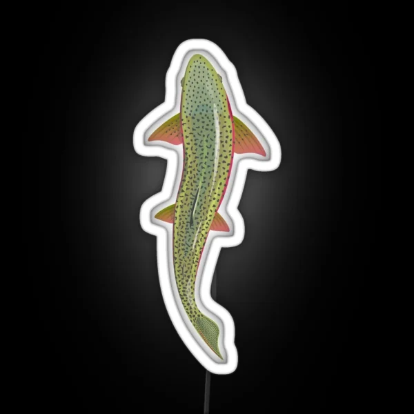 Trout From Above RGB Neon Sign