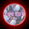 Colorful Tucson landmark with pink neon cactus sign at night