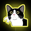 Tuxedo cat with striking yellow eyes looking upwards in a colorful, neon-lit environment.