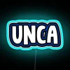UNC Asheville neon sign on campus