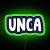 Neon sign reading 'UNCA' in green letters, University of North Carolina Asheville campus.
